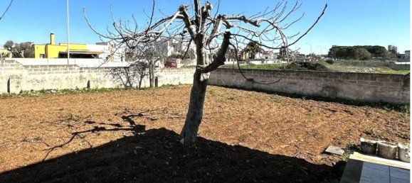 7 rooms Apartment in Avetrana, Italy No. 43317 17