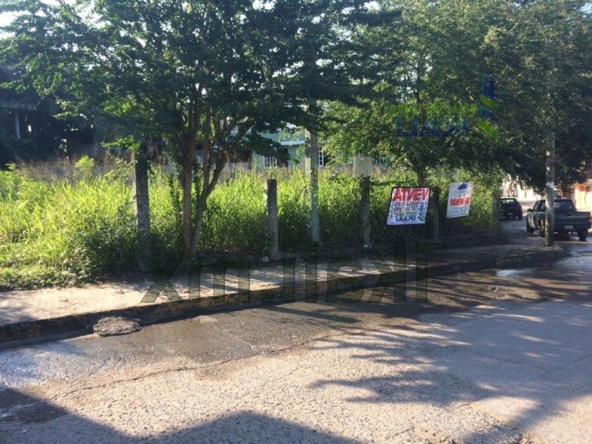 Terrain à Veracruz, Mexico No. 206637