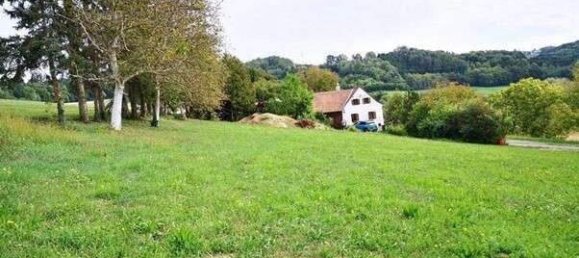 4غرفة منزل في Buch-St. Magdalena, Austria رقم 154168 5