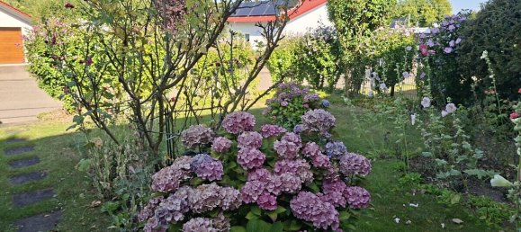 6-Zimmer Stadthaus in Heidenheim, Germany, Nr. 346576 4