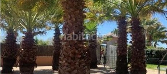 1 bedroom Apartment in Ayamonte, Spain No. 169703 12