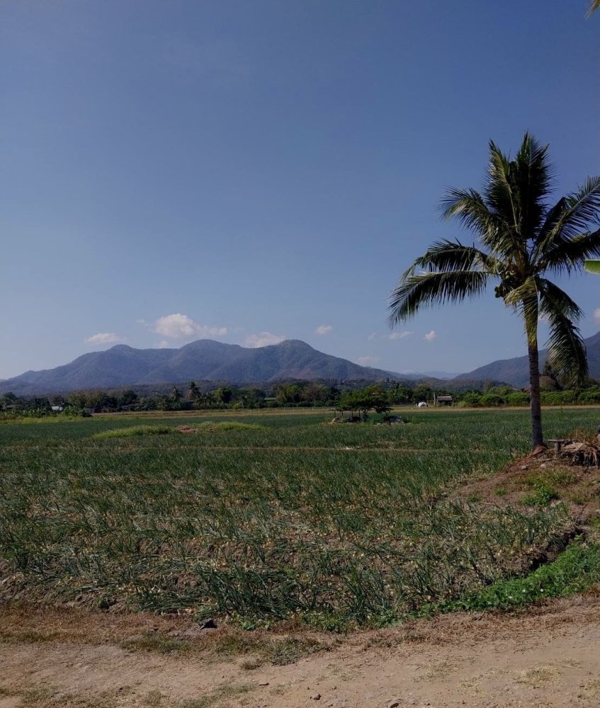  قطعة أرض في Chiang Mai, Thailand 38436متر مربع رقم 73889