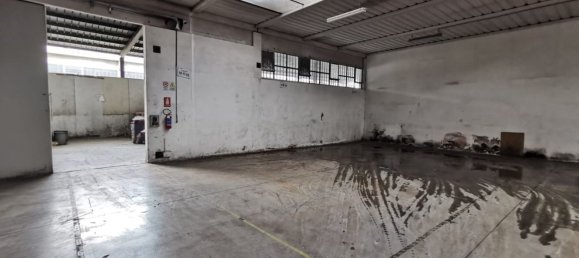 1750m² Warehouse in Cerea, Italy No. 376383 5