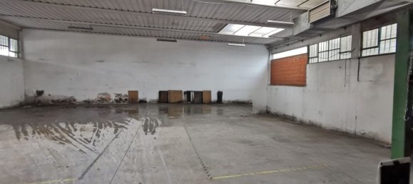1750m² Warehouse in Cerea, Italy No. 376383 6