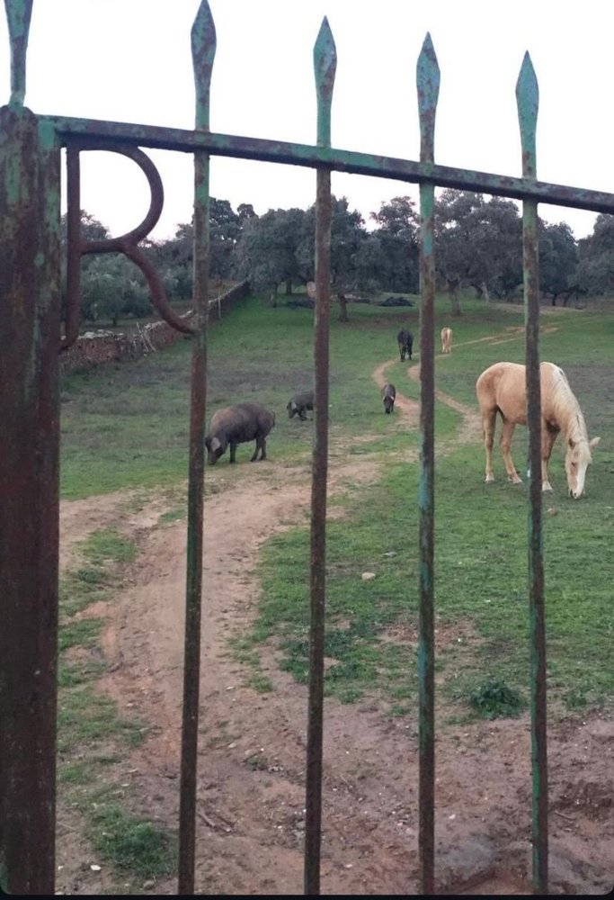 Grundstück in Cordoba, Spain, Nr. 203927
