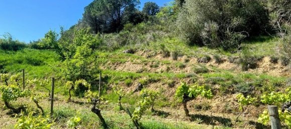 5 bedrooms Villa in Limoux, France No. 339002 20