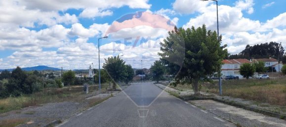 430m² Land in Anadia, Portugal No. 74478 6