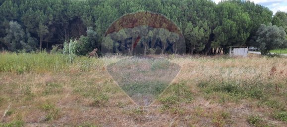 430m² Land in Anadia, Portugal No. 74478 2