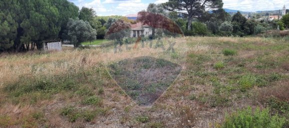 430m² Land in Anadia, Portugal No. 74478 9