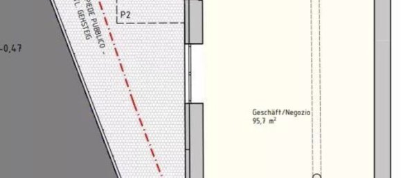 210m² Commercial property in Trentino-Alto Adige, Italy No. 42494 3