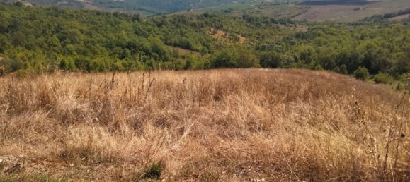 6 bedrooms House in Roccaspinalveti, Italy No. 352829 6