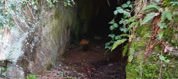 4 chambres Bâtiment à Rhein-Lahn, Germany No. 133455 35