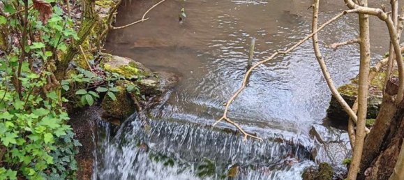 4 chambres Bâtiment à Rhein-Lahn, Germany No. 133455 32