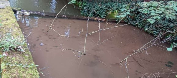 4 chambres Bâtiment à Rhein-Lahn, Germany No. 133455 31