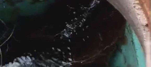 4 chambres Bâtiment à Rhein-Lahn, Germany No. 133455 29