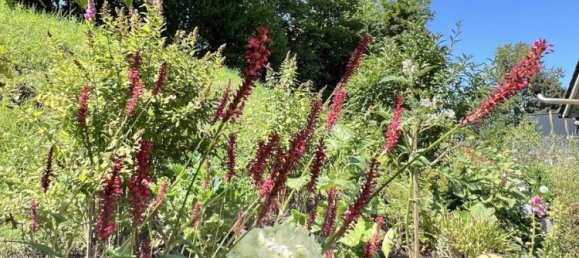 2 غرف نوم منزل في Kaufbeuren, Germany رقم 334350 28