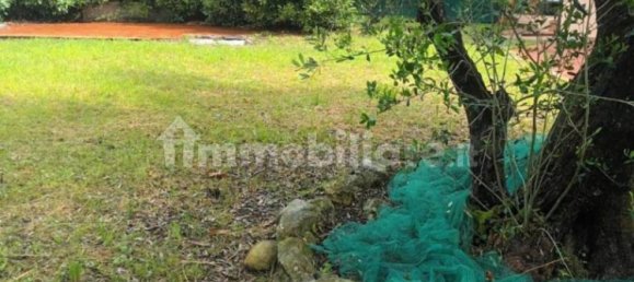 6 bedrooms Villa in Carrara, Italy No. 48090 5