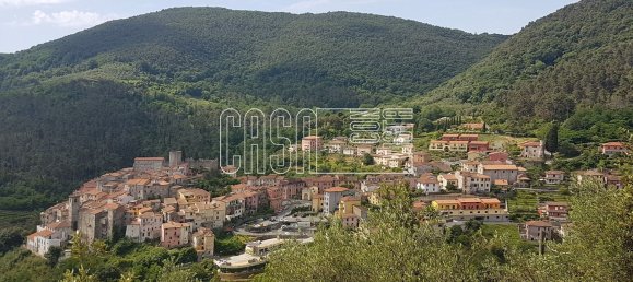 2 rooms Apartment in Ameglia, Italy No. 301528 15