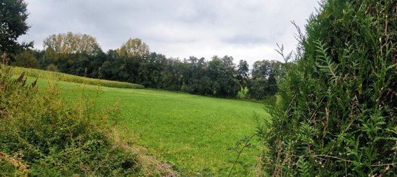 5 chambres Maison à Durmenach, France No. 223155 3