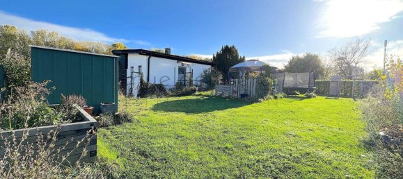 2 rooms House in Klosterneuburg, Austria No. 177597 43