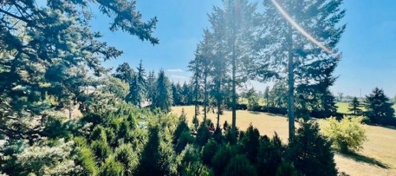 4 bedrooms House in Teltow-Flaming, Germany No. 94906 5