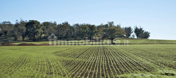 Villa T6 em Belpasso, Italy N.º 279862 3