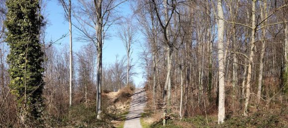 Apartamento T1 em Dusseldorf, Germany N.º 83664 26