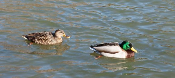 Apartamento T1 em Dusseldorf, Germany N.º 83664 21