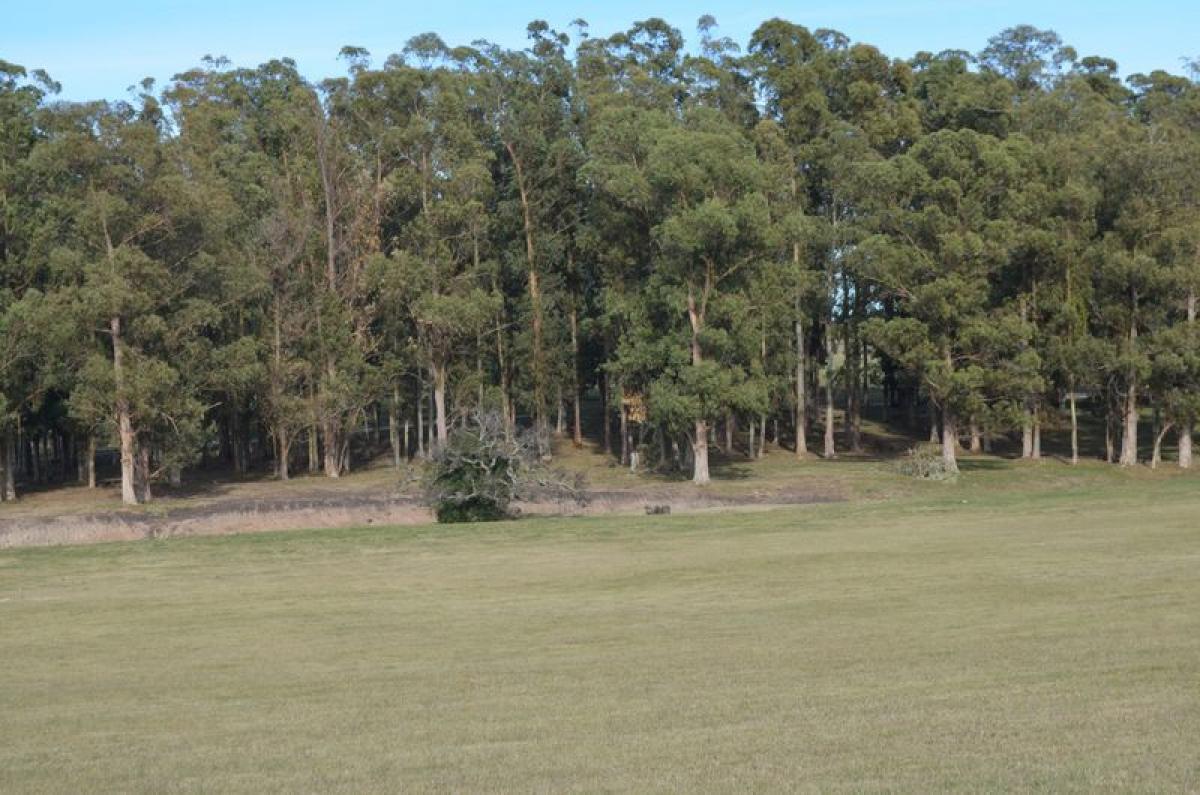  Land in Maldonado, Uruguay No. 16081