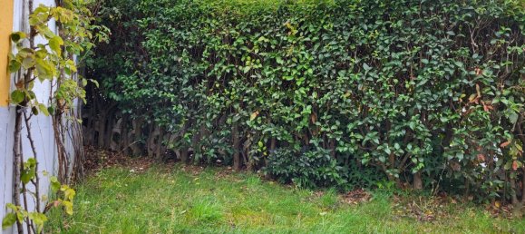 Дом с 4 спальнями в Сьюдад Родриго, Испания № 23612 9