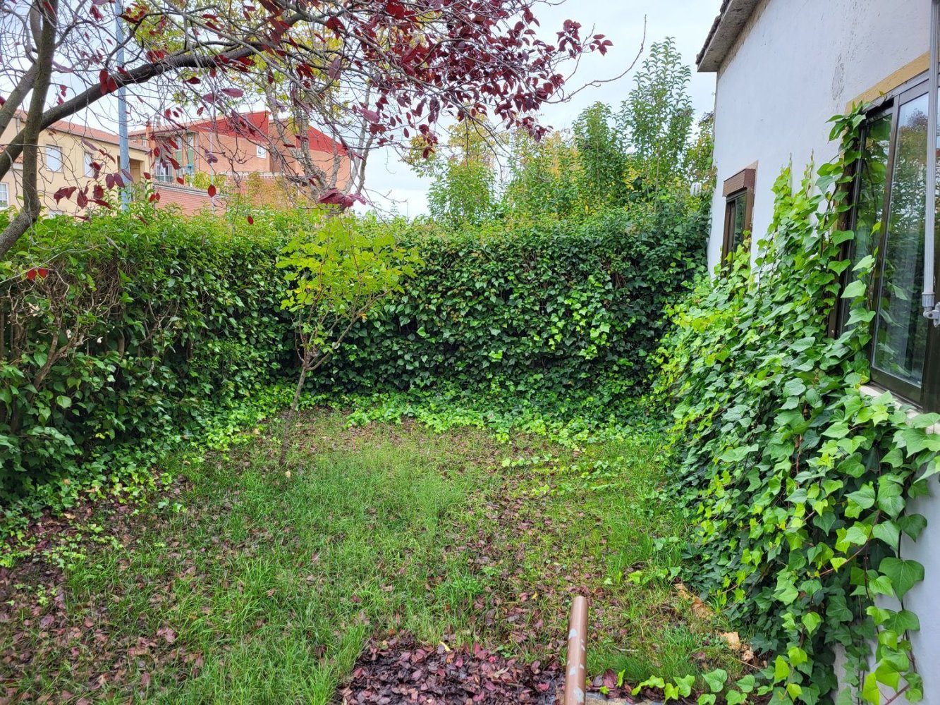 Дом с 4 спальнями в Сьюдад Родриго, Испания № 23612