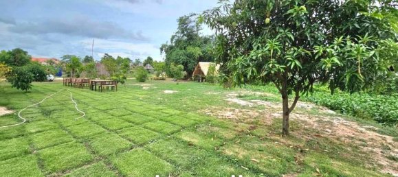  Commercial property in Pattaya, Thailand No. 16906 6