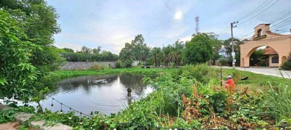  Commercial property in Pattaya, Thailand No. 16906 3