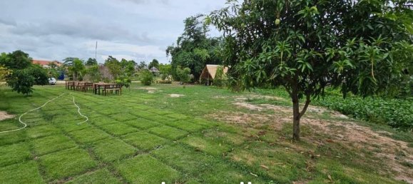  Commercial property in Pattaya, Thailand No. 16906 5