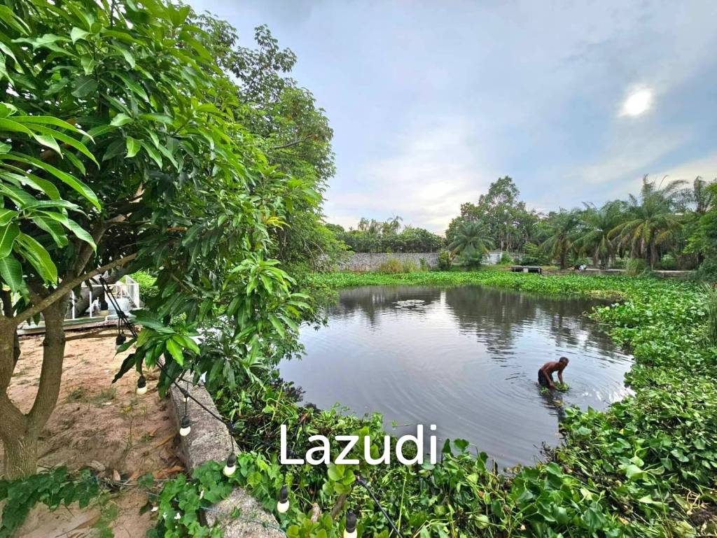  Commercial property in Pattaya, Thailand No. 16906