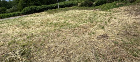  Land in Ban-de-Laveline, France No. 91575 3