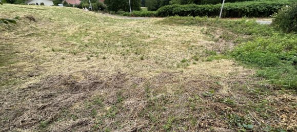  Land in Ban-de-Laveline, France No. 91575 5