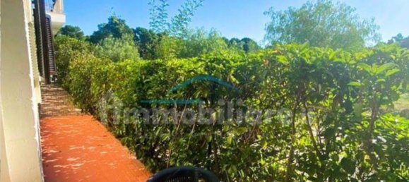 Studio in Castellaneta, Italy, Nr. 256807 11