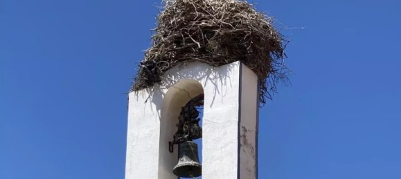 5924m² Land in Grandola, Portugal No. 132445 16