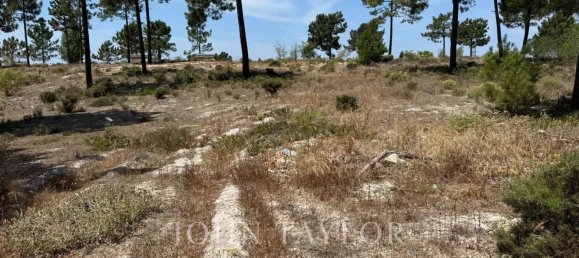 5924m² Land in Grandola, Portugal No. 132445 6