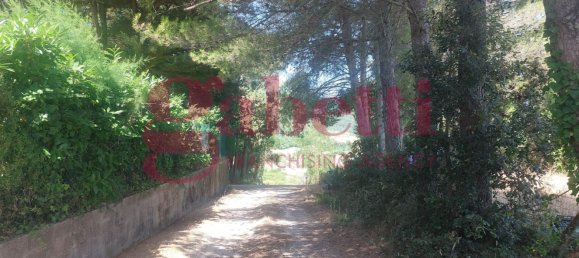 7 rooms Apartment in Collesalvetti, Italy No. 292921 6