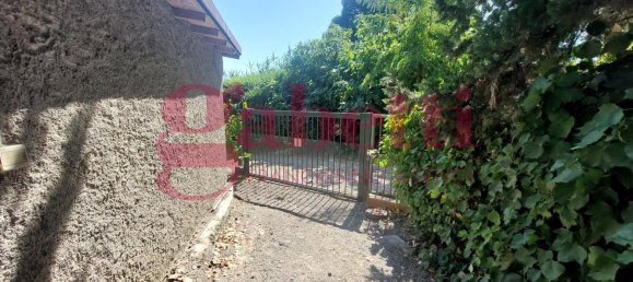 7 rooms Apartment in Collesalvetti, Italy No. 292921 11