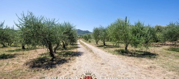 11-salle Villa à Castiglione della Pescaia, Italy No. 279428 24