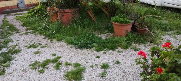 7غرفة فيلا في Massarosa, Italy رقم 52045 47