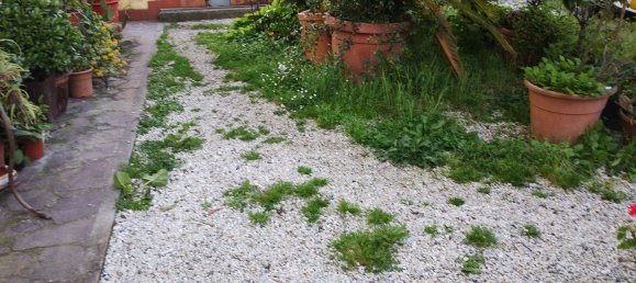 7غرفة فيلا في Massarosa, Italy رقم 52045 48