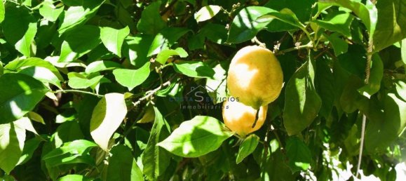 3 bedrooms Townhouse in Huelva, Spain No. 143316 32