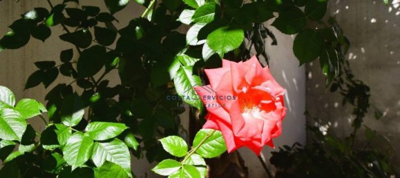 3 bedrooms Townhouse in Huelva, Spain No. 143316 29