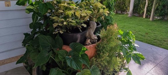 3 bedrooms Cafe / restaurant in Pattaya, Thailand No. 19829 29