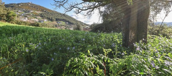 2 bedrooms House in Castelo de Paiva, Portugal No. 132655 8