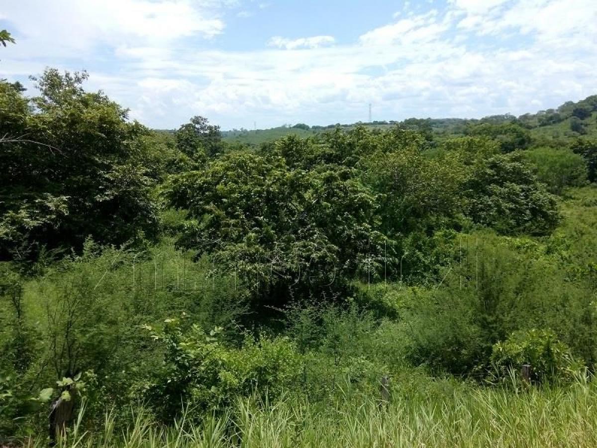 Grundstück in Veracruz, Mexico, Nr. 204816